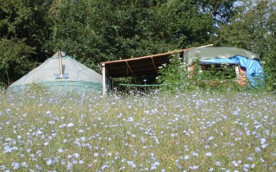 Ep046 Nature has fiddled my mind
