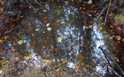 How Puddles become Powerful