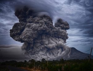 how to survive a world gone horribly wrong