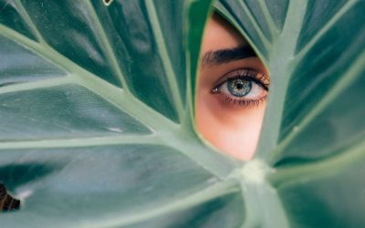 Ep012: Seeing Ourselves in a New Way