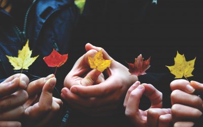Ep 018: Embracing Diversity