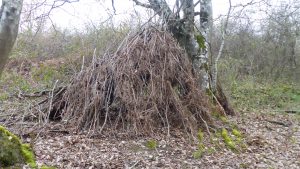 stick hut choose your grooves