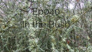 Business in the bush choose your grooves