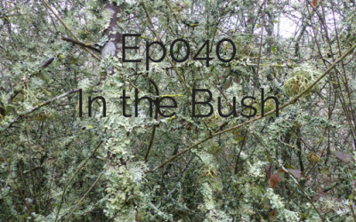 Ep 040 business in a bush
