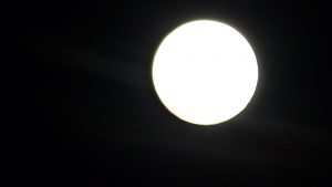 choose your grooves, moon