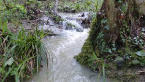 emotional stream choose your grooves