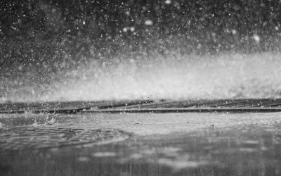 Ep048 Very Rainy!