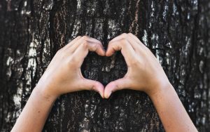 a kinder world know you are earth