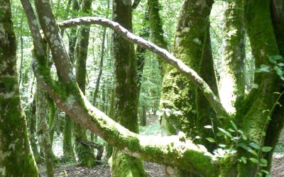 Ep 90 Embracing Infinite Possibility