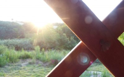 Ep 95 The day before Solstice