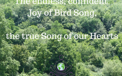 Ep 109 Song of the Heart