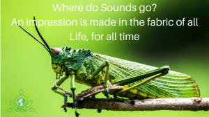 Where do sounds go? Choose your grooves