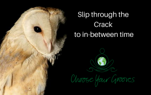 Slip through the Cracks Choose Your Grooves