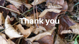 Thank you Choose your Grooves