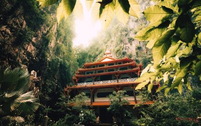 EP 137 Temple of Human