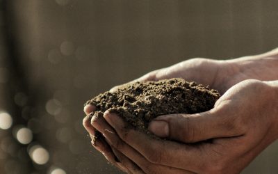 You ARE Earth. You Belong