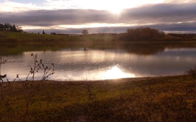 EP 146 Between Forest and Lake