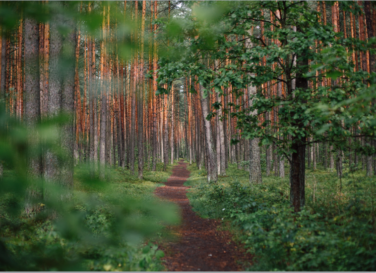 nature's path